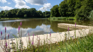 Gironde : le Domaine de Blasimon est de nouveau entièrement accessible