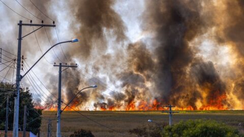 Feu de prairie avec fumée près de lignes électriques