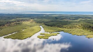Landes : cette réserve naturelle cache un décor digne de l’Amazonie