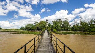 Îles de l’estuaire de la Gironde : trois escapades insolites entre eau, vignes et nature