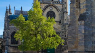 Bordeaux : un grand chantier de restauration lancé pour sauver le chemin de croix de Saint-Michel