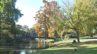 Le Parc Bordelais, 28 hectares de nature et d’histoire au cœur de Bordeaux