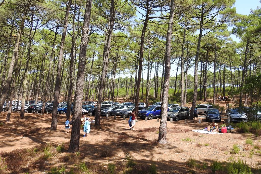 Parking de plage en Gironde à vérifier avant le départ