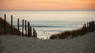 Le Conservatoire du littoral protège désormais 18 350 hectares en Nouvelle Aquitaine