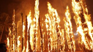 Incendies en Gironde : le feu « a repris » ce samedi soir selon les pompiers