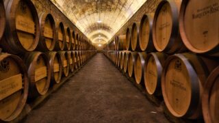 Les plus belles visites de caves à faire autour de Bordeaux