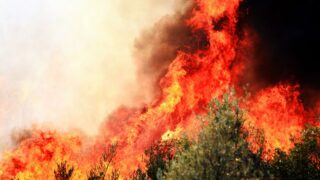 Incendies en Gironde : le point officiel à 16h ce mercredi