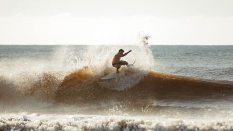 Surfeur sur une vague