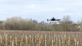 Cette start-up bordelaise veut détecter les maladies de la vigne grâce à l’IA