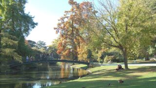 Jardin public de Bordeaux : trois siècles de promenade entre ville et botanique