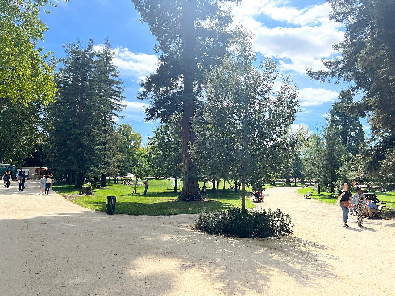 Séquoia géant dans le Jardin public de Bordeaux