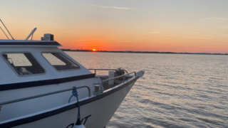Une croisière dominicale explore l’estuaire de la Gironde depuis le port des Callonges