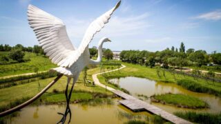 Un apéro nature nocturne ouvre exceptionnellement Terres d’Oiseaux en Gironde