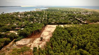 Cap-Ferret : une plainte contre X contre la création du pare-feu de Bartherotte pendant l’incendie