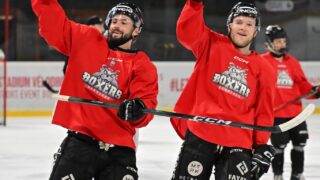 Boxers de Bordeaux : répétition amicale avant la Ligue des champions