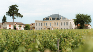 Les Vendanges Nocturnes reviennent au Château Trianon pour deux soirées festives au cœur des vignes