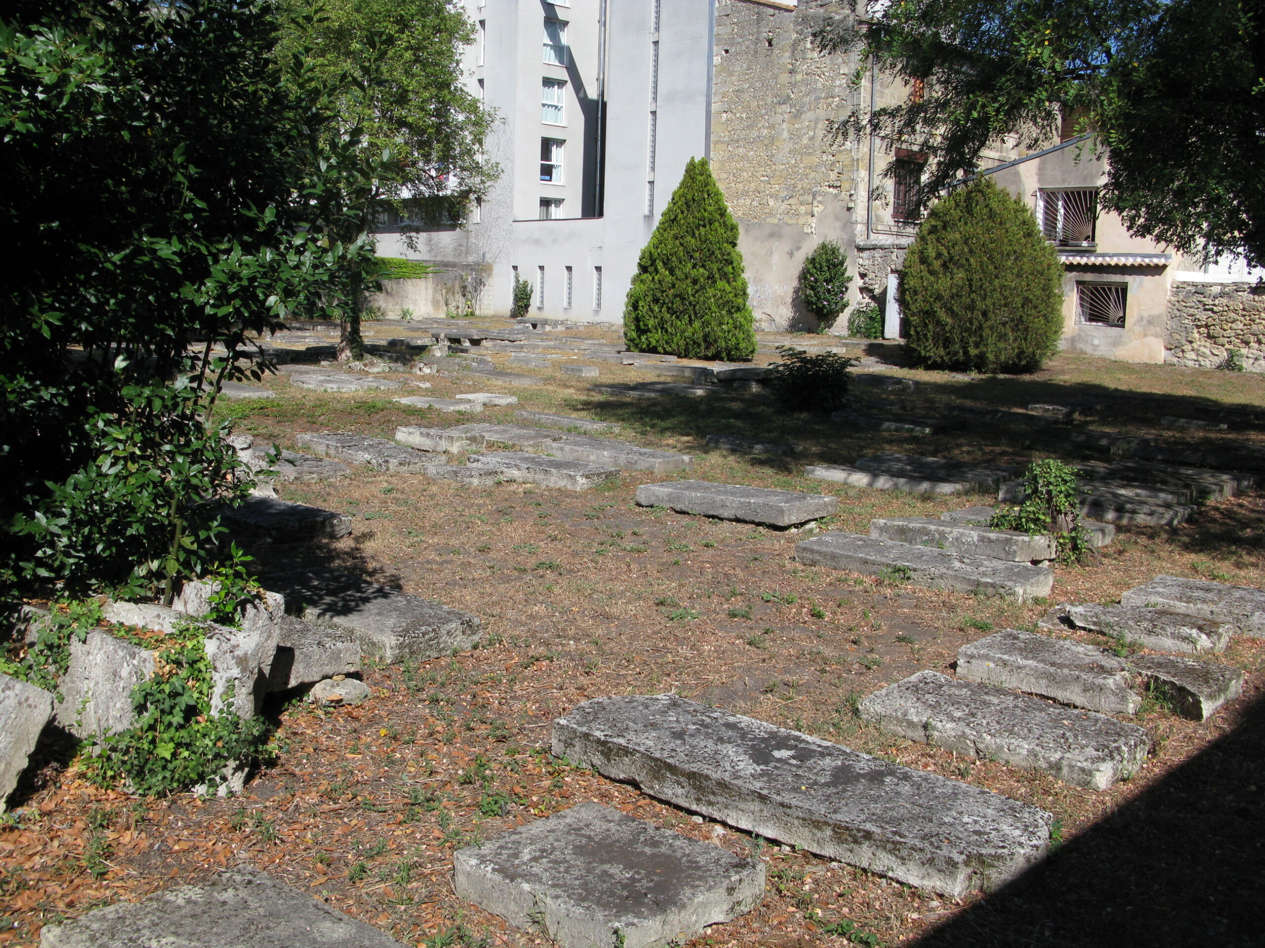 Vue des stèles du cimetière juif portugais du cours de la Marne