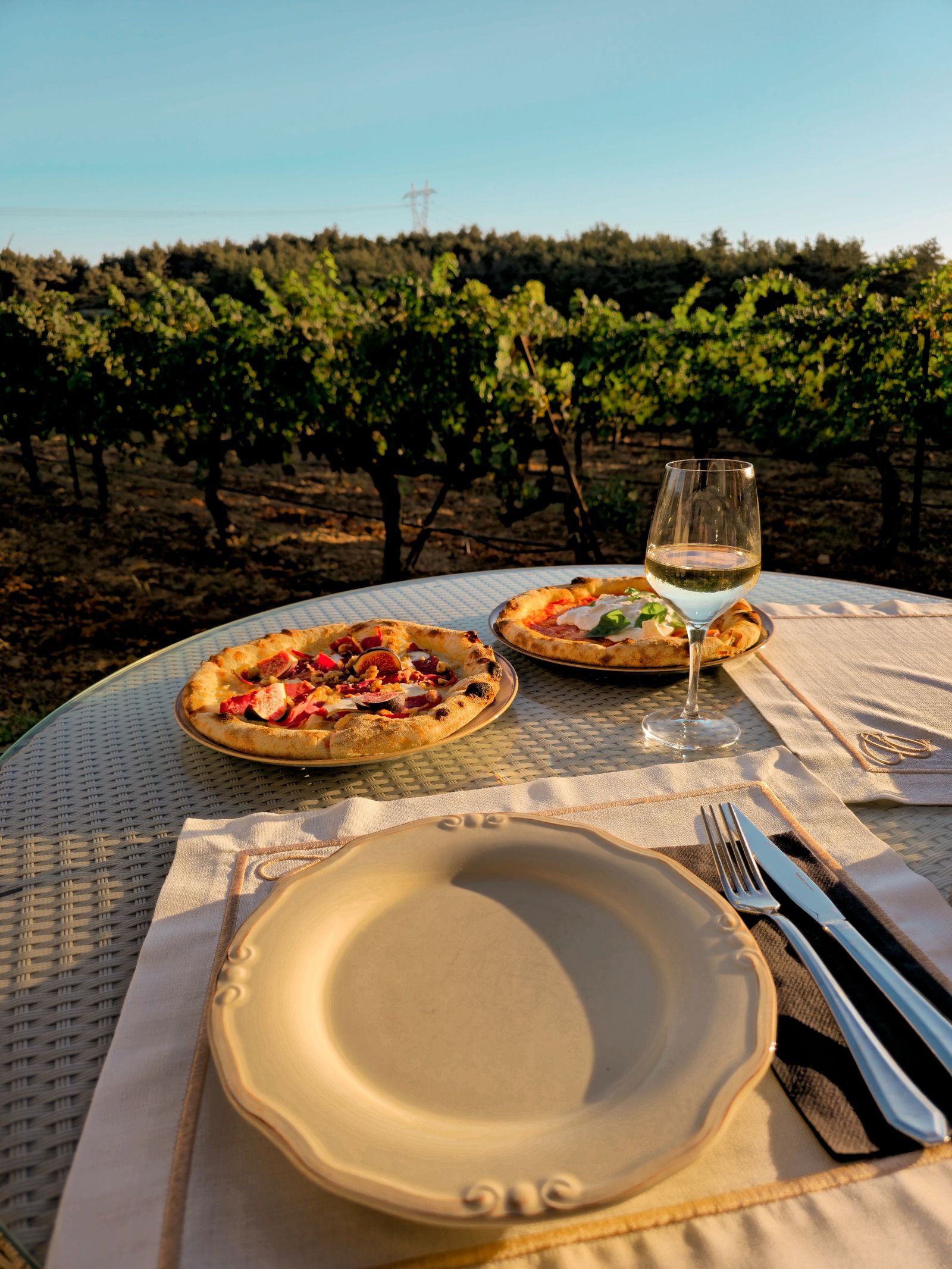 Pizzas et verres de vin disposés sur une table face aux vignes