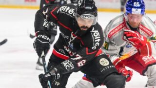 Les Boxers de Bordeaux découvrent la Ligue des champions à Mériadeck face à Mannheim puis Pilsen