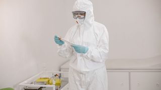 Virus du Nil occidental : quatre cas confirmés en Gironde, que faut-il savoir ?
