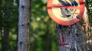 Feux de forêt en Gironde : ce qui change avec le retour à la vigilance orange