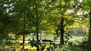 Parc Bordelais : vingt-huit hectares offerts à la promenade au cœur de Caudéran