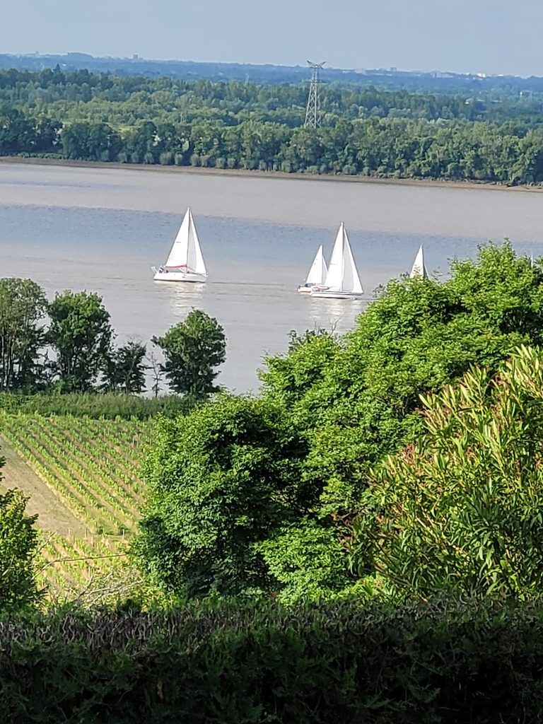 Vue sur les vignes, les arbres et les voiliers de l’estuaire depuis la cabane