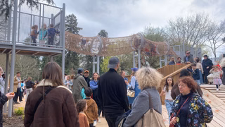 Au Parc Bordelais, une aire de jeux agrandie avec un parcours dans les arbres
