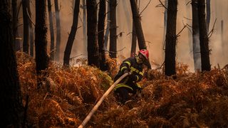 Après le mégafeu, la Gironde veut reconstruire des « bastides végétalisées »