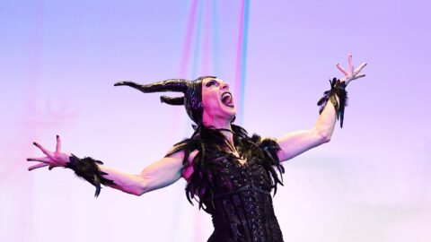 Artiste de la Compagnie du Lac en costume sombre, les bras déployés sur scène