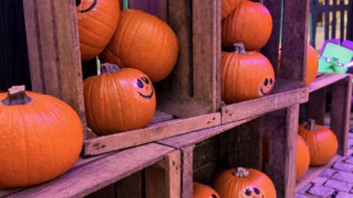Halloween à Bordeaux Lac : un manoir hanté et des surprises