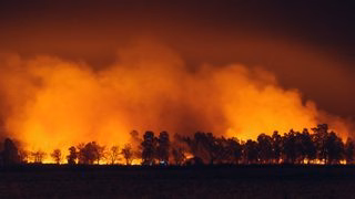 Après l’incendie de Saumos, les parcelles boisées brûlées exonérées de taxe foncière