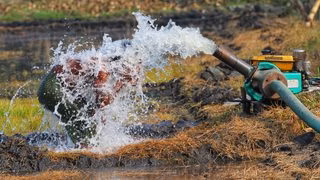 Dans le Médoc, la forêt et la ressource en eau au centre de nouvelles expérimentations
